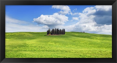 Framed Cypresses, Val d&#39;Orcia, Tuscany (detail) Print