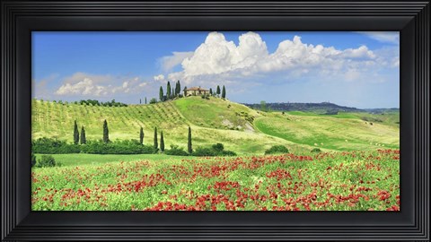 Framed Farmhouse with Cypresses and Poppies, Val d&#39;Orcia, Tuscany Print