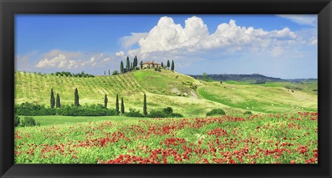 Framed Farmhouse with Cypresses and Poppies, Val d&#39;Orcia, Tuscany Print