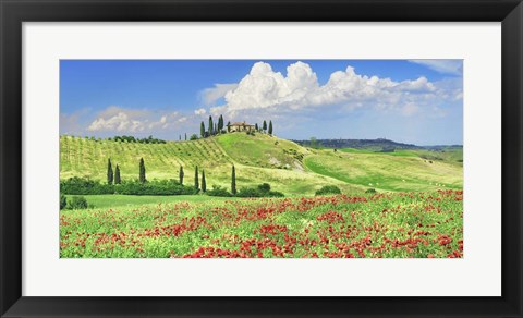 Framed Farmhouse with Cypresses and Poppies, Val d&#39;Orcia, Tuscany Print