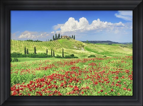 Framed Farmhouse with Cypresses and Poppies, Val d&#39;Orcia, Tuscany Print
