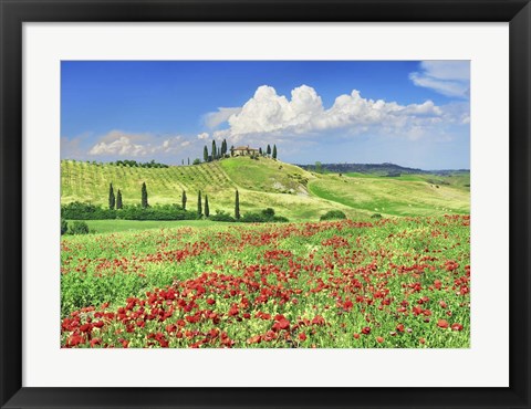 Framed Farmhouse with Cypresses and Poppies, Val d&#39;Orcia, Tuscany Print