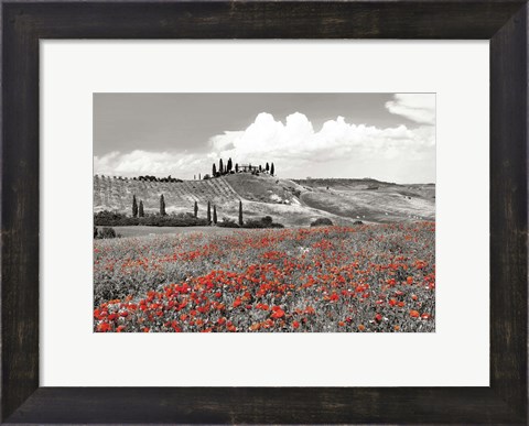 Framed Farmhouse with Cypresses and Poppies, Val d&#39;Orcia, Tuscany (BW) Print