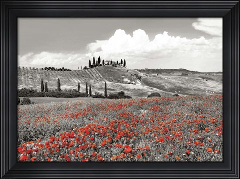 Framed Farmhouse with Cypresses and Poppies, Val d&#39;Orcia, Tuscany (BW) Print