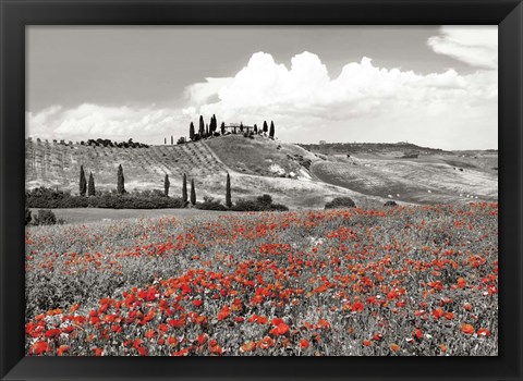 Framed Farmhouse with Cypresses and Poppies, Val d&#39;Orcia, Tuscany (BW) Print