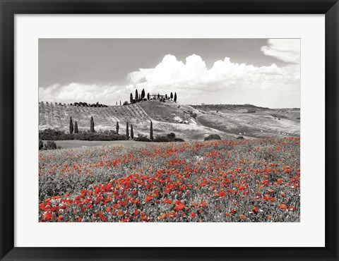 Framed Farmhouse with Cypresses and Poppies, Val d&#39;Orcia, Tuscany (BW) Print