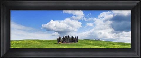 Framed Cypresses, Val d&#39;Orcia, Tuscany Print
