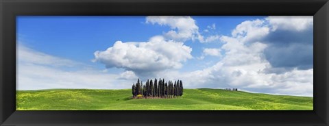 Framed Cypresses, Val d&#39;Orcia, Tuscany Print