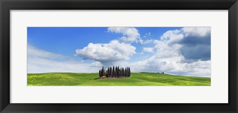 Framed Cypresses, Val d&#39;Orcia, Tuscany Print