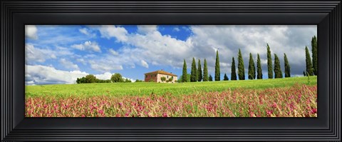 Framed Landscape with cypress alley and sainfoins, San Quirico d&#39;Orcia, Tuscany Print
