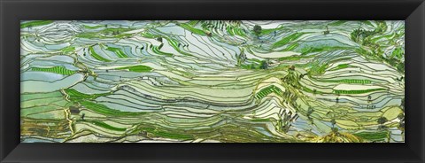 Framed Rice Terraces, Yunnan, China Print