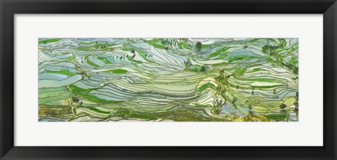 Framed Rice Terraces, Yunnan, China Print