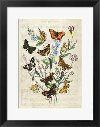 Framed European Butterflies, After Kirby Print