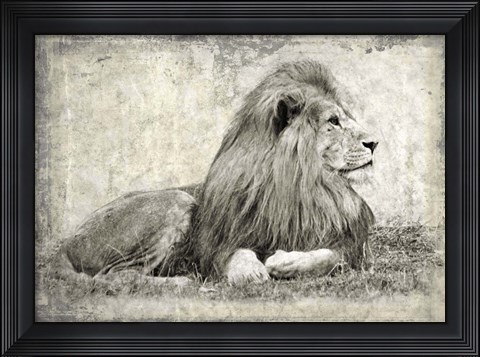 Framed Memories of Africa I Print