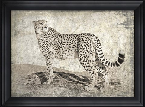 Framed Memories of Africa II Print