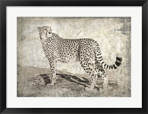 Framed Memories of Africa II Print