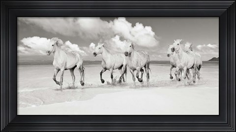 Framed Band of Brothers, Lanikai Beach, Hawaii (BW) Print
