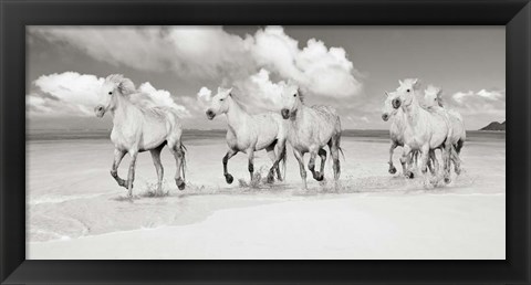 Framed Band of Brothers, Lanikai Beach, Hawaii (BW) Print