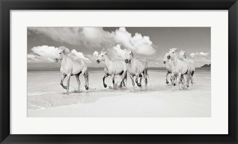 Framed Band of Brothers, Lanikai Beach, Hawaii (BW) Print