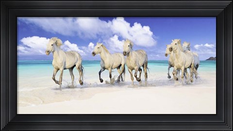 Framed Band of Brothers, Lanikai Beach, Hawaii Print