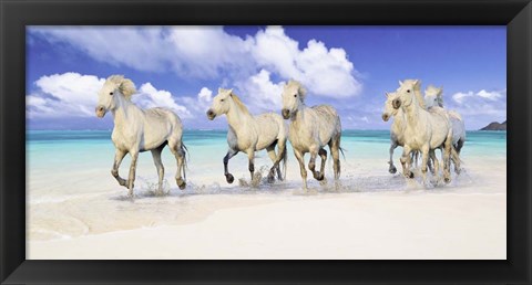 Framed Band of Brothers, Lanikai Beach, Hawaii Print