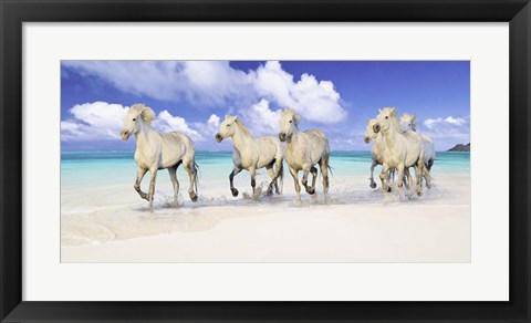 Framed Band of Brothers, Lanikai Beach, Hawaii Print