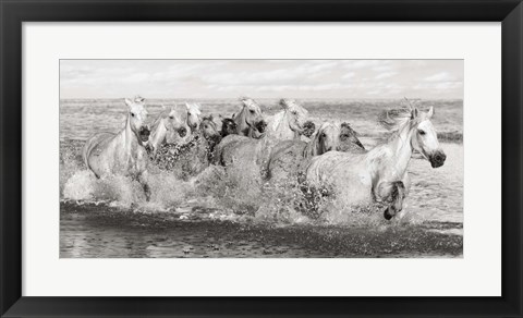 Framed Herd of Horses, Camargue Print