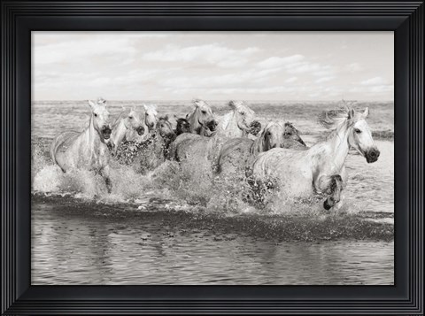 Framed Herd of Horses, Camargue Print