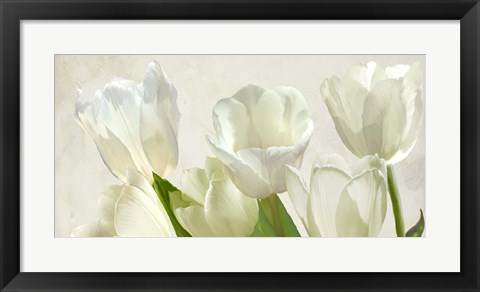 Framed White Tulips (detail) Print