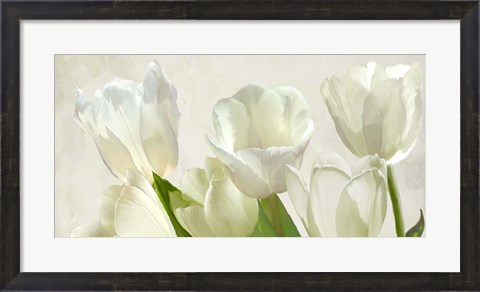 Framed White Tulips (detail) Print