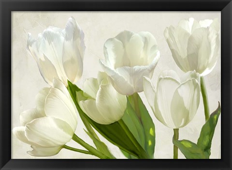 Framed White Tulips Print