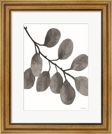 Framed Leaves in Gray I Print