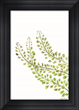 Framed Green Bliss Print