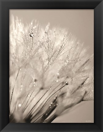 Framed Dandelion Jewels I Print