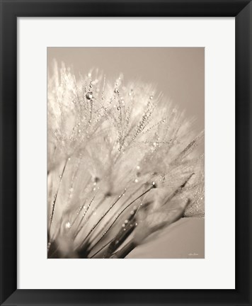 Framed Dandelion Jewels I Print