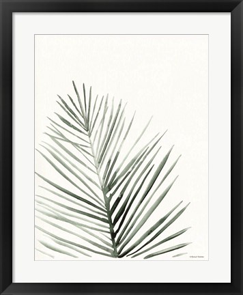 Framed Summer Botanicals 1 Print