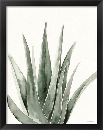 Framed Summer Botanicals 2 Print