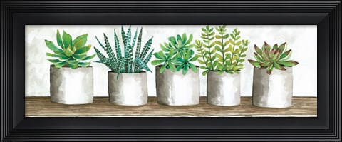 Framed Succulent Pots Print
