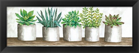 Framed Succulent Pots Print