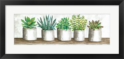 Framed Succulent Pots Print