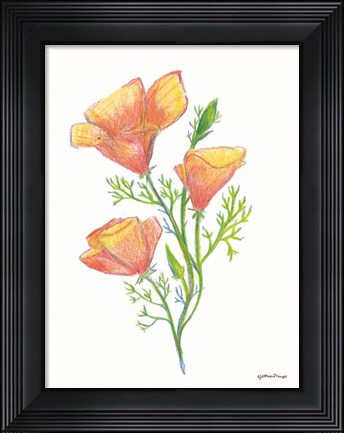 Framed California Poppies Print