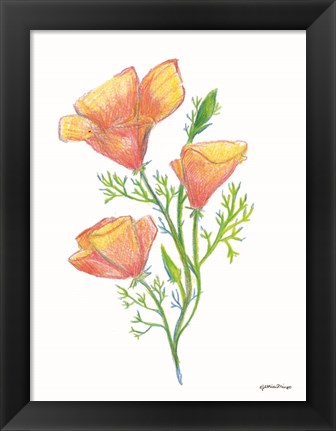 Framed California Poppies Print