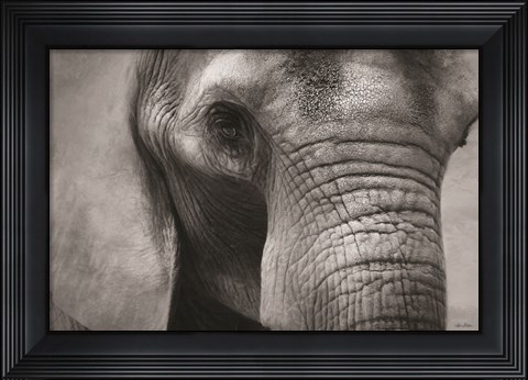 Framed Elephant Print