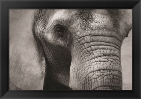 Framed Elephant Print