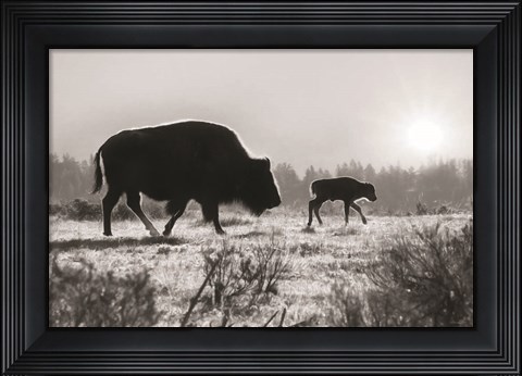 Framed Lamar Valley Migration Print