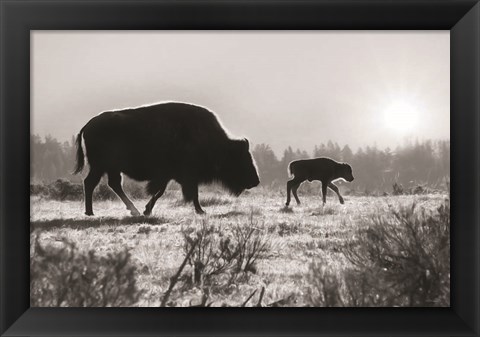 Framed Lamar Valley Migration Print