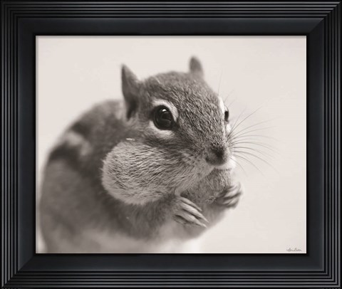 Framed Chippy Print