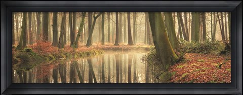 Framed Healing Power of Forests Print