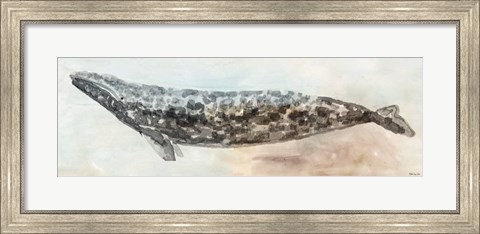 Framed Whale Color I Print