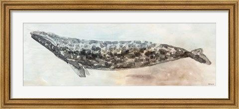 Framed Whale Color I Print